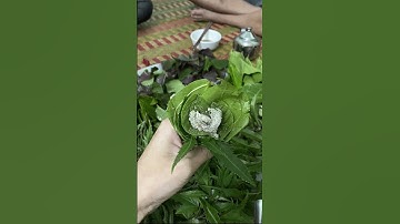 Gỏi cá vùng tây nguyên.