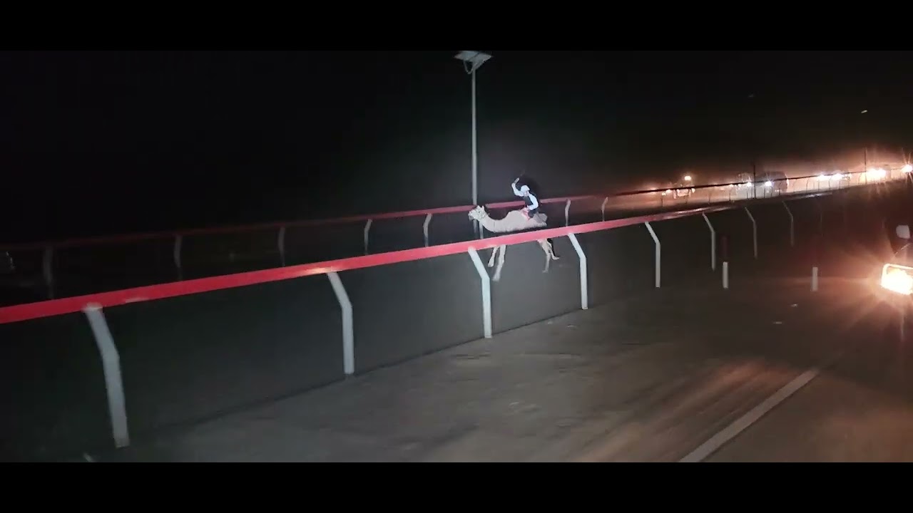 اللبسة 22-3-2025 ش1