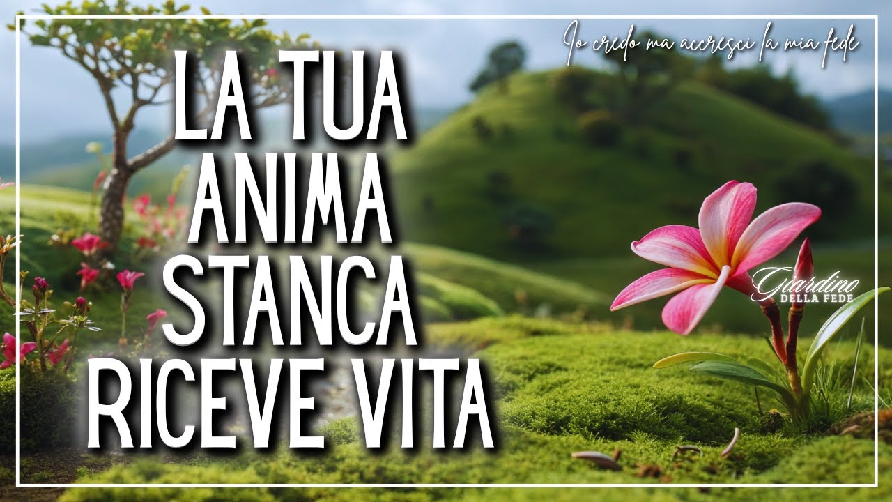 Dio ascolta la tua anima stanca e ti offre un nuovo inizio.