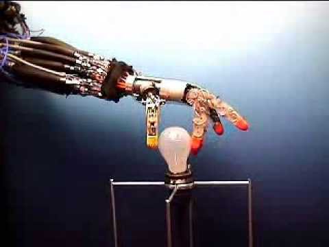 Amazing Robotic Hand