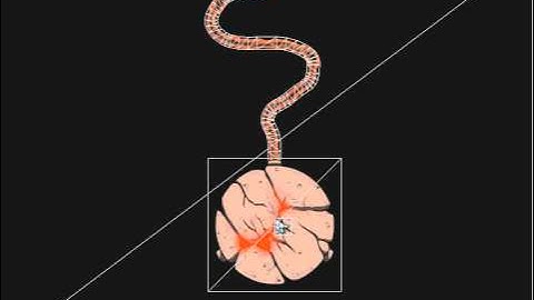 textured splines (2)