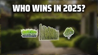 The Top 5 Best Privacy Bushes in 2025 - Must Watch Before Buying!