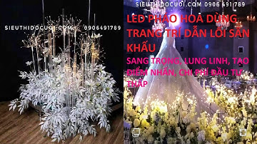 Led pháo hoa trang trí lối đi sân khấu - 0906491789|sieuthidocuoi.com