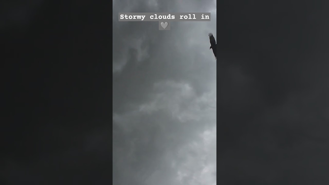 Stormy Skies | Cosy Nature Time-lapse ☁️🩶 