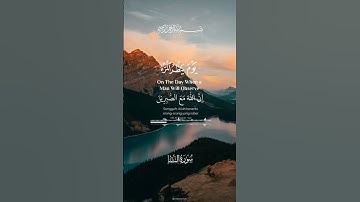 #قران_كريم تلاوه خاشعه ومريحه #اكسبلور #راحة_نفسية #لايك #القزابري #دويتو #يصلك #تيك_توك #الرحمن🎧🌺