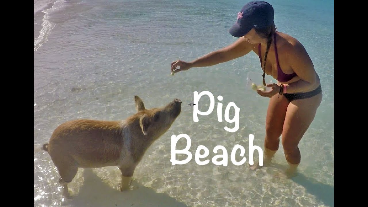 PIG BEACH   (Ep 13)