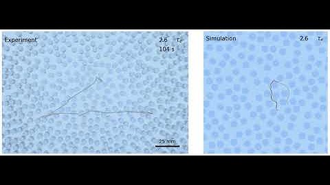Polymerlike worms wriggle their way through mazes