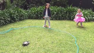 Kiki vs Tortoise