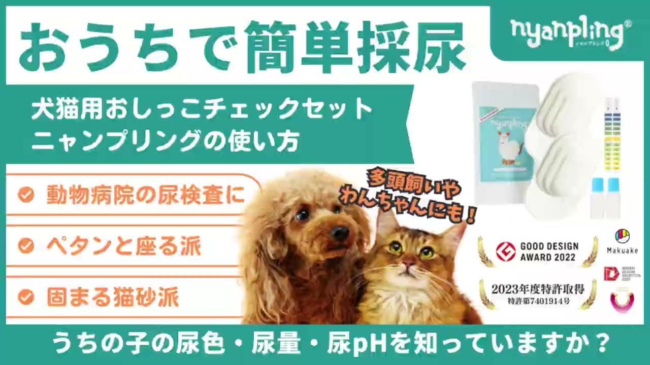 ニャンプリング公式】【猫犬から簡単に採尿/尿色・尿量・尿pH値