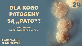 Ewolucyjny wyścig zbrojeń. O potyczkach patogenów z ich ofiarami (w tym nami) | dr Agnieszka Kloch