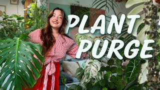 Clutter to Clarity | Downsizing my 153+ Houseplant Collection