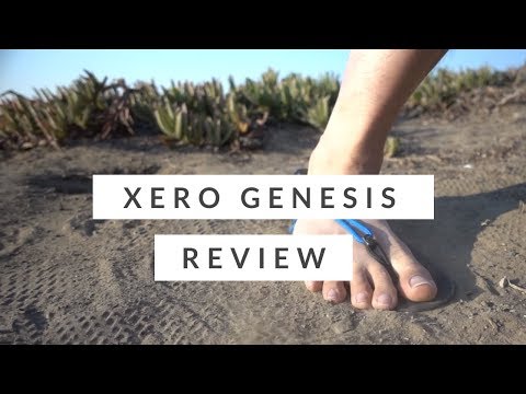 Vídeo: Genesis Zero Z.1 revisão