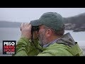 A year in the life of Acadia National Park's birds