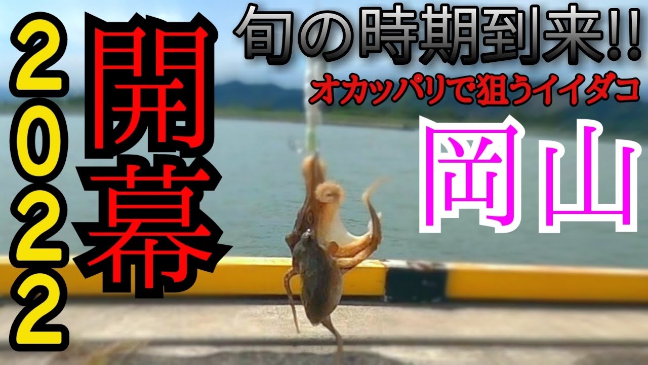 イイダコ釣り 22年9月今年もコイツの旬の時期がやって来た オカッパリでオクトパッシング バス釣りタックルさえあれば気軽に初められる海釣り 岡山県 倉敷 笠岡 Youtube イイダコ釣り 22年9月今年もコイツの旬の時期がやって来た オカッパリでオクトパッシング バス釣りタックルさえあれば気軽に初められる海釣り 岡山県 倉敷 笠岡 Youtube