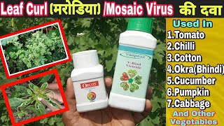 Medicine and Treatment For Leaf Curl Virus/Mosaic Virus in All Vegetables and Crops