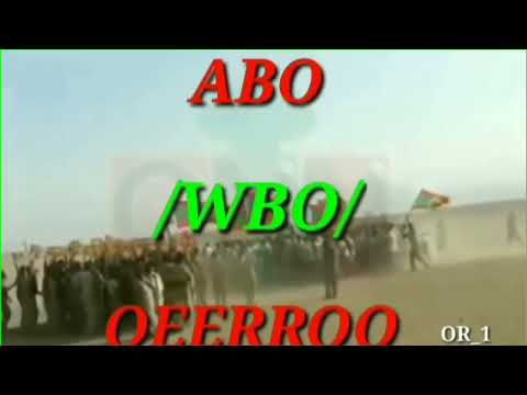 Hawwisoo Caffee Gadaa Tana Itiin Bohaara