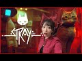 【STRAY】私の方がねこ【あんちゅ/石塚朱莉】