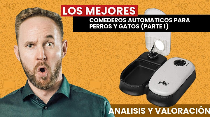 Los MEJORES COMEDEROS AUTOMÁTICOS para GATOS y PERROS 2021 (parte 1)