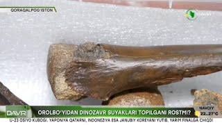 Yangi davr | Orolbo'yidan dinozavr suyaklari topilgani rostmi? [26.04.2024]