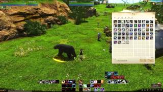 ArcheAge - How to get a Black Bear mount