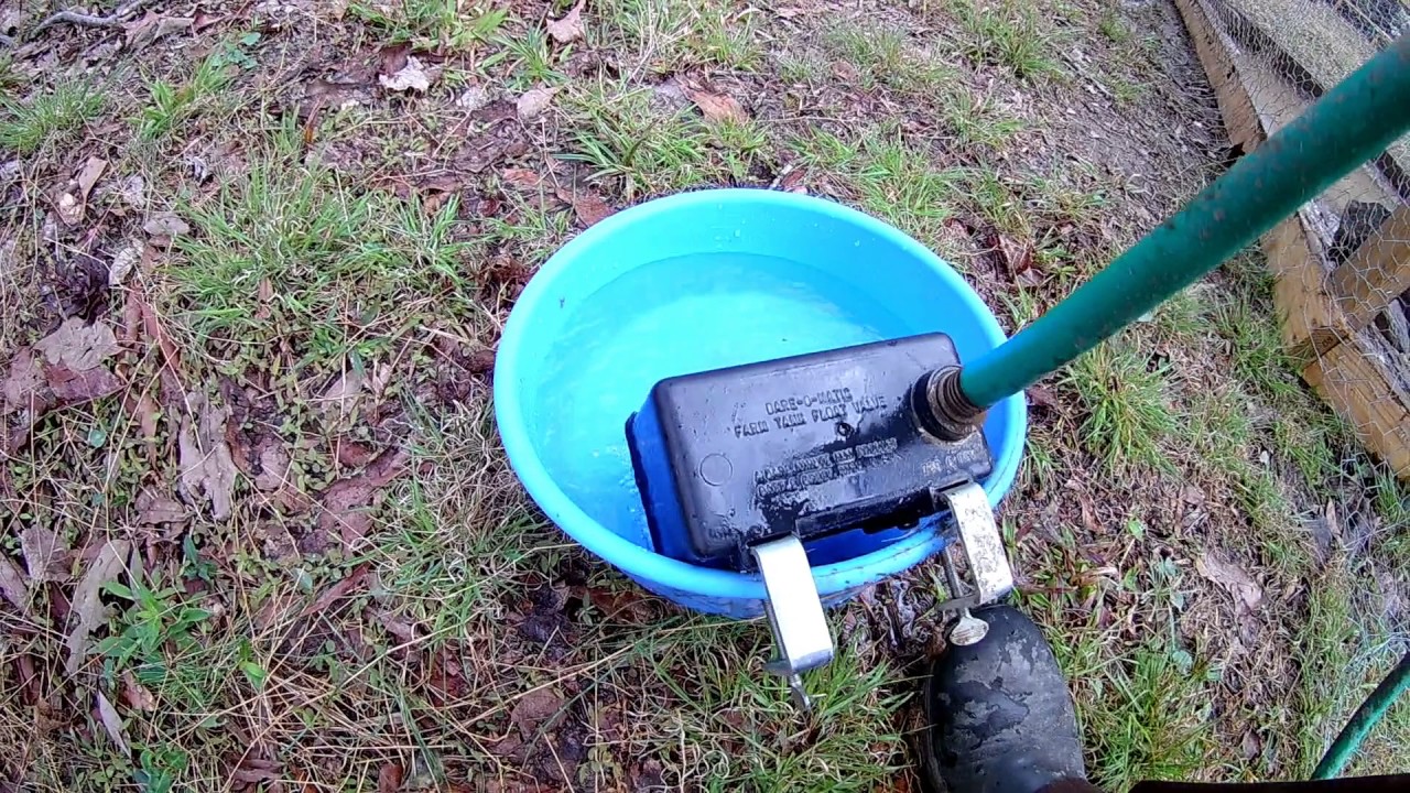 DIY Automatic Duck Drinker Pt 2 YouTube