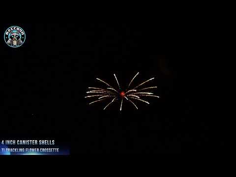 4″ video preview