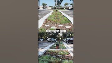 We Present You an Important Feature of Future Cities!