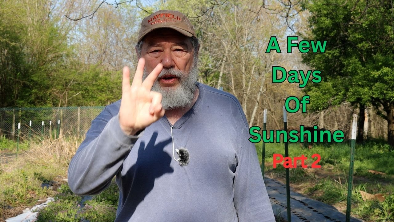 A Few Days Of Sunshine PT 2 - YouTube