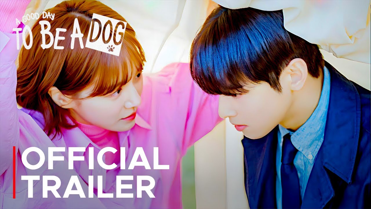 A Good Day to Be a Dog Episode 8 Trailer: A Trap Awaits for Cha Eun-Woo,  Park Gyu-Young