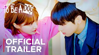 A Good Day To Be A Dog Official Trailer | Cha Eun Woo | Park Gyu Young {ENG SUB}