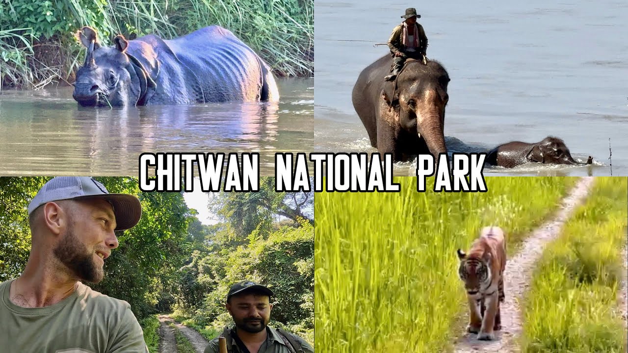Видеоблоги JackDai — Сафари в национальном парке Читван 🐊 | В поисках носорогов и тигров в Непале!