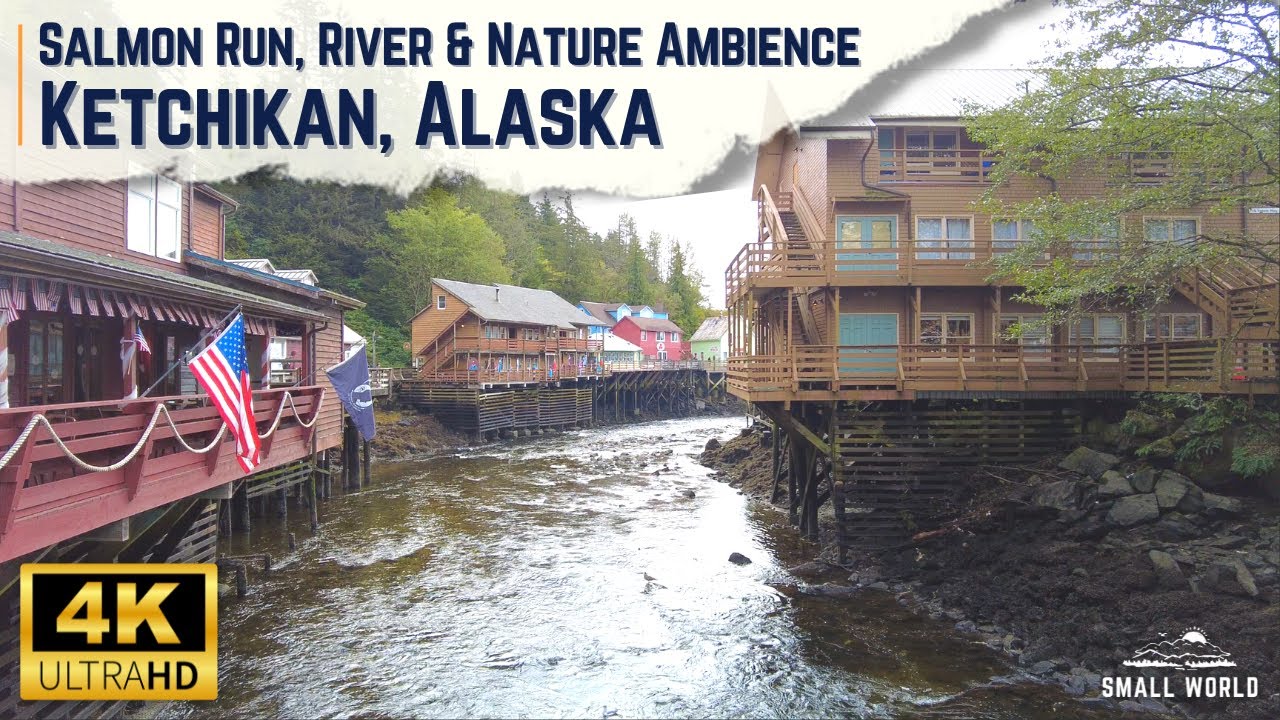 Ketchikan, Alaska Salmon Run 4K River & Nature Ambience (No Music