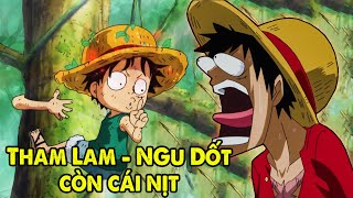 Luffy Chơi Ngu Top 10 Hành Động Ngu Ngốc Nhất Của Ngũ Hoàng Luffy