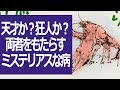 天才か？狂人か？その両者をもたらすミステリアスな病気があった！