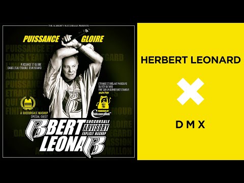 Herbert Leonard X DMX (Succursale Mashup)