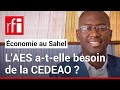 Sortir du cfa  la monnaie de laes crdible et souhaitable dit lconomiste ndongo samba sylla