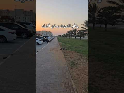 ق ال ر ب ي إ ن ي د ع و ت ق ومي ل يلا و ن ه ارا تلاوة تبهج القلب