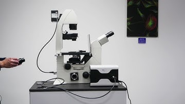 How to fit the CoolLED pE-800 to a Leica DMi8 microscope