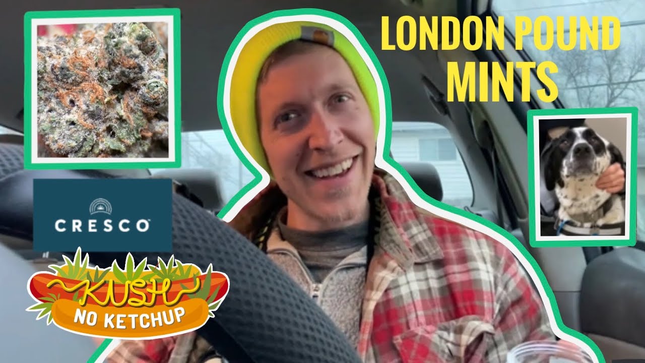 Обзор штамма London Pound Mints | KUSH NO KETCHUP