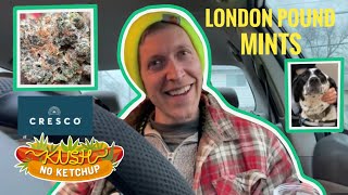 London Pound Mints Sortenrezension | KUSH NO KETCHUP