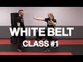 Introduction to Krav Maga - White Belt Class #1 (Stance & Palm Strike)