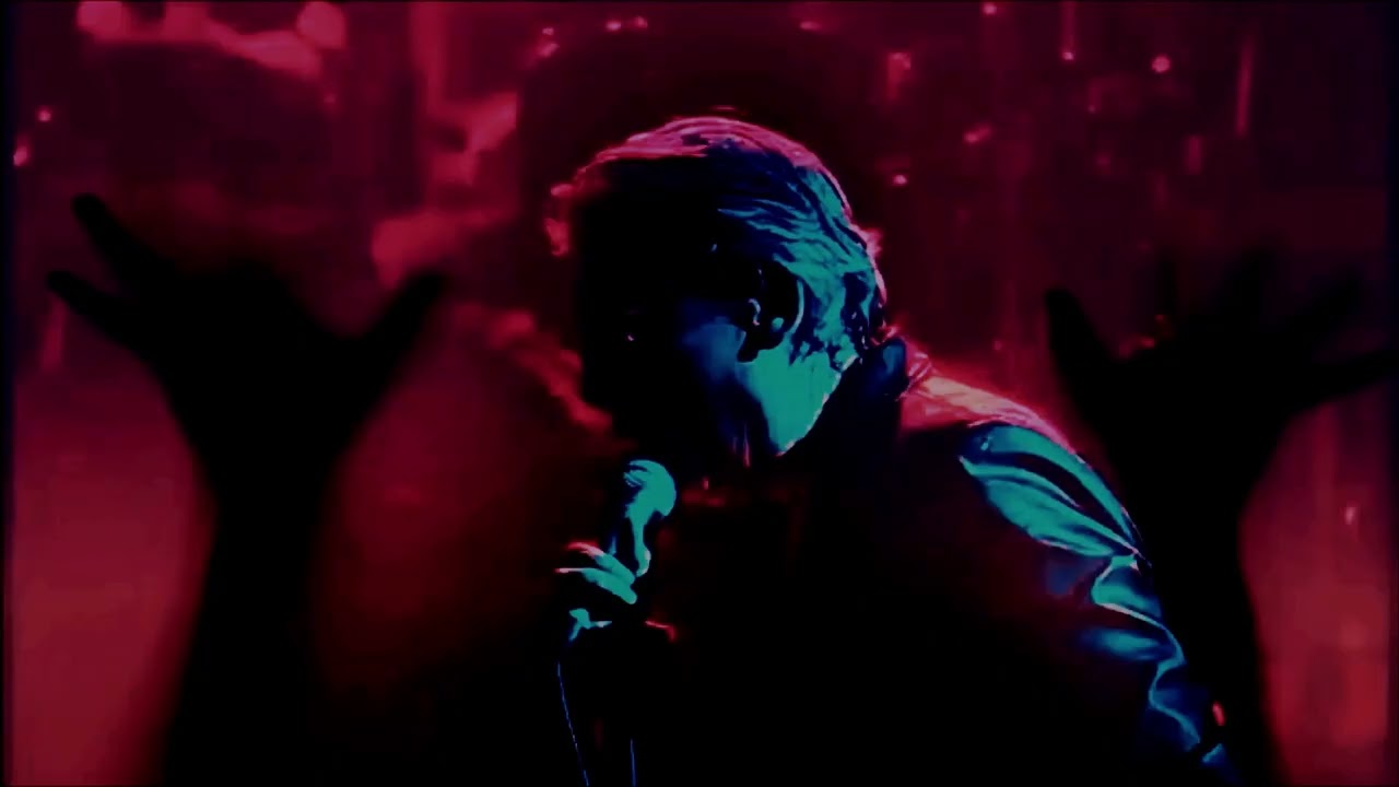 Alain BASHUNG - Malaxe (Live) -