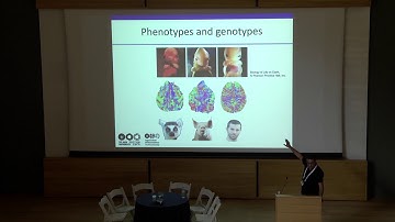 WMUH 2018   Yaniv Assaf