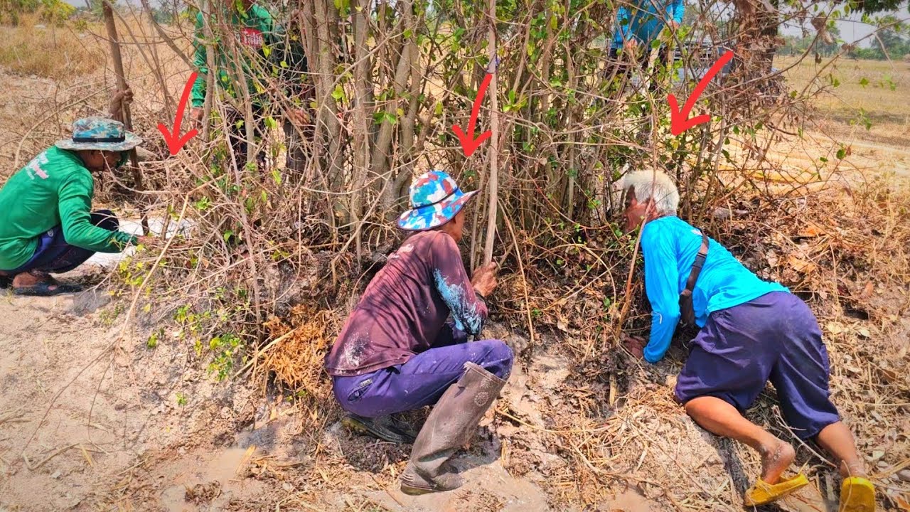 ล่าอาหารป่าริมทาง เจอรังเยอะแบบนี้จะมีกี่ตัวที่แน่ๆวันนี้ได้กำหางแน่นอน