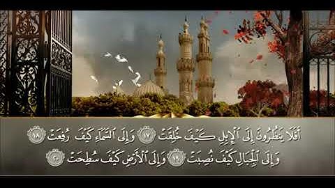 من سورة الغاشية - الشيخ د. ياسر سرحان الديب