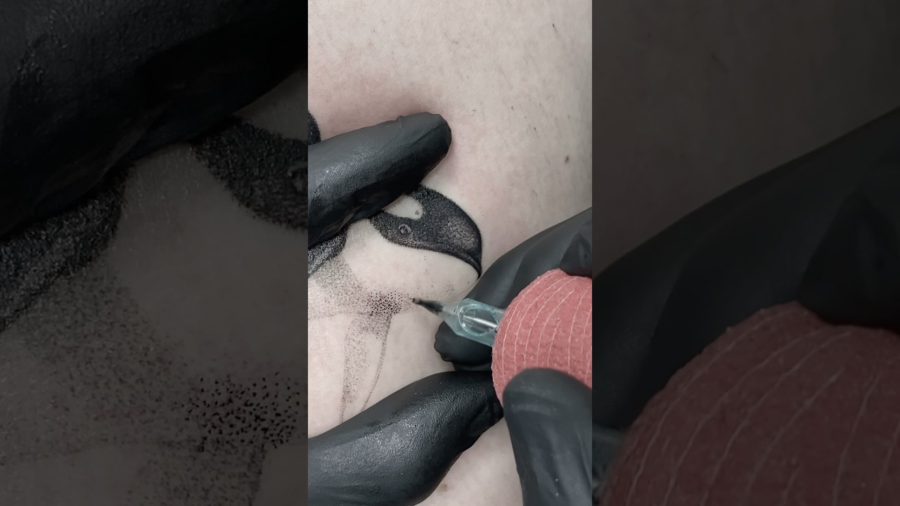 Whipshading Tattoos: The Art of Ink Explained
