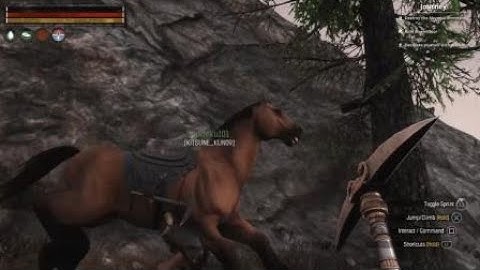 Conan Exiles horse glitch