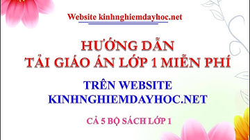 Tải giáo án lớp 1 miễn phí trên website kinhnghiemdayhoc.net