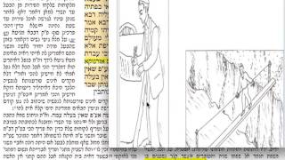 הדף היומי בבא בתרא דף קס״ז 167 שבת י״ד תמוז  תשע״ז