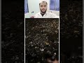 musalmaan har kisi ki madad kartahai #shorts #viralvideo #viral #ytshorts #trending #status #reels